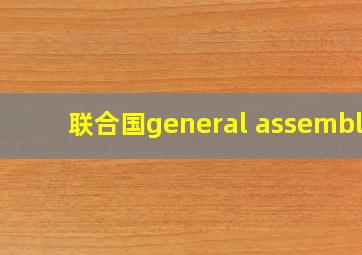 联合国general assembly